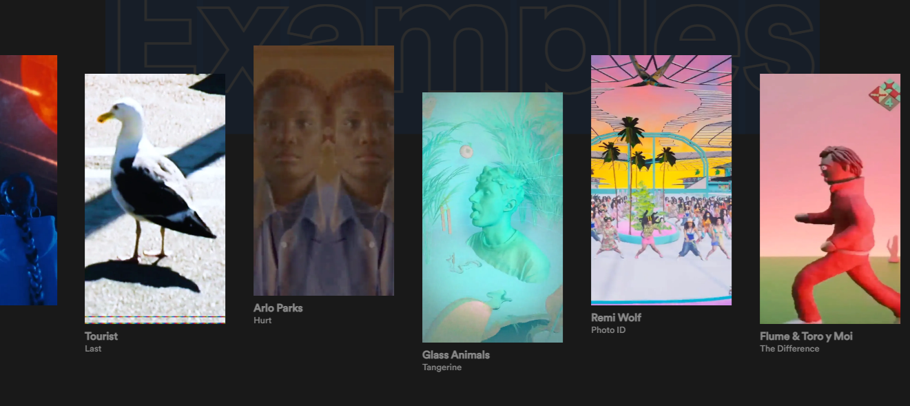 canvas Spotify Canvas یا اسپاتیفای کانواس